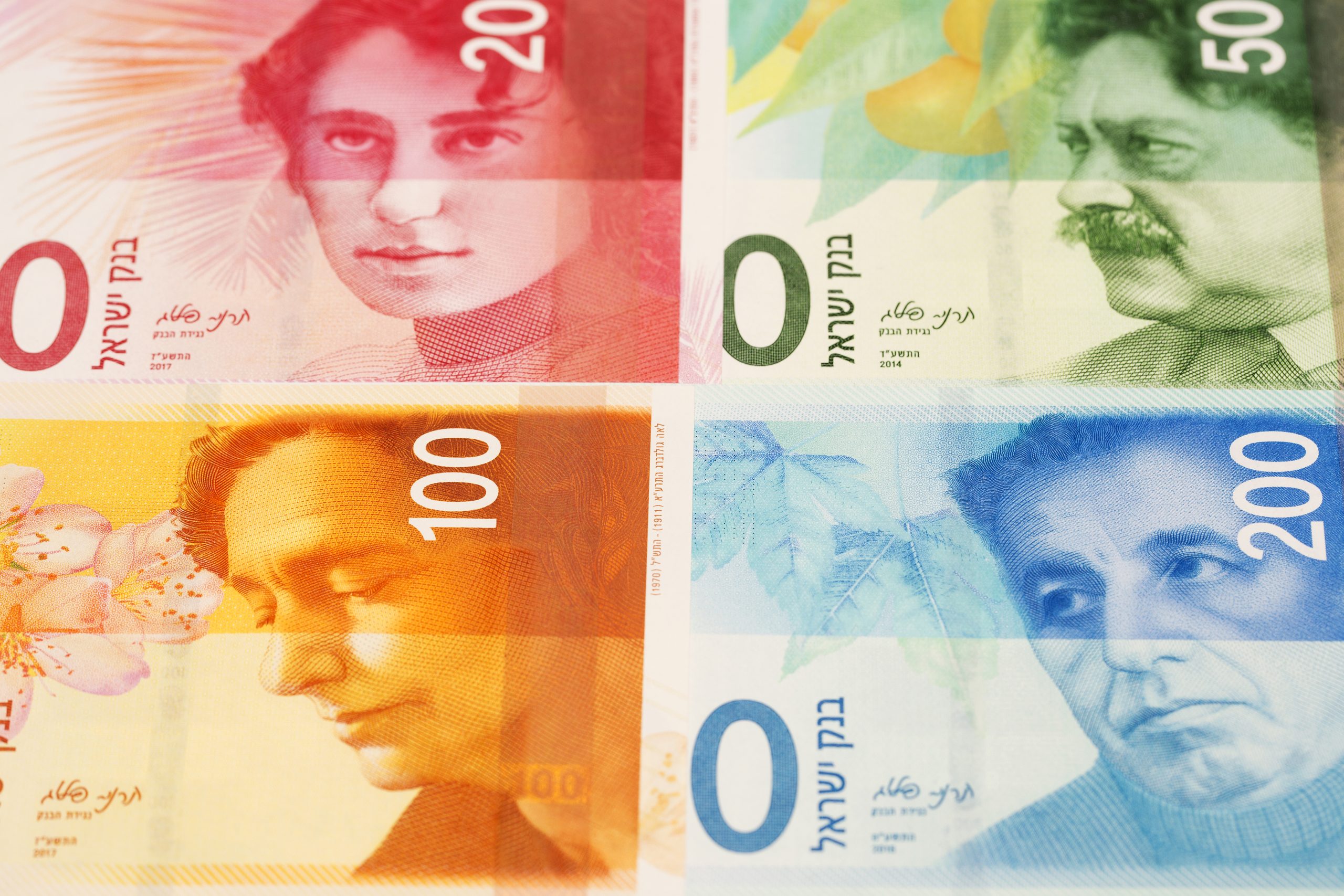 Israeli money - new shekel a business background